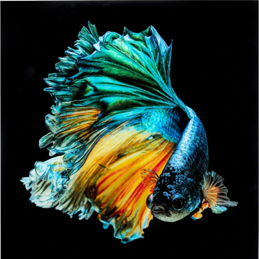 "KARE Design Aqua Queen Fish Glass Wall Art 100x100cm Modern Home Decor"
